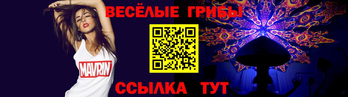 Псилоцибиновые грибы мицелий  Вход с VPN  Галлюциногенные грибы Psilocybine cubensis  Новочебоксарск 